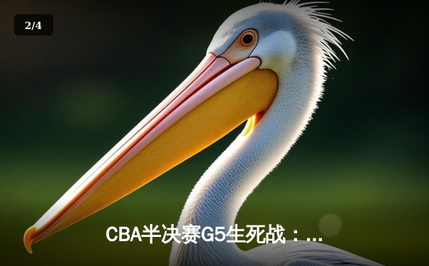 CBA半决赛G5生死战：辽宁本钢加时逆转广东宏远 赵继伟33分创生涯新高 - 2